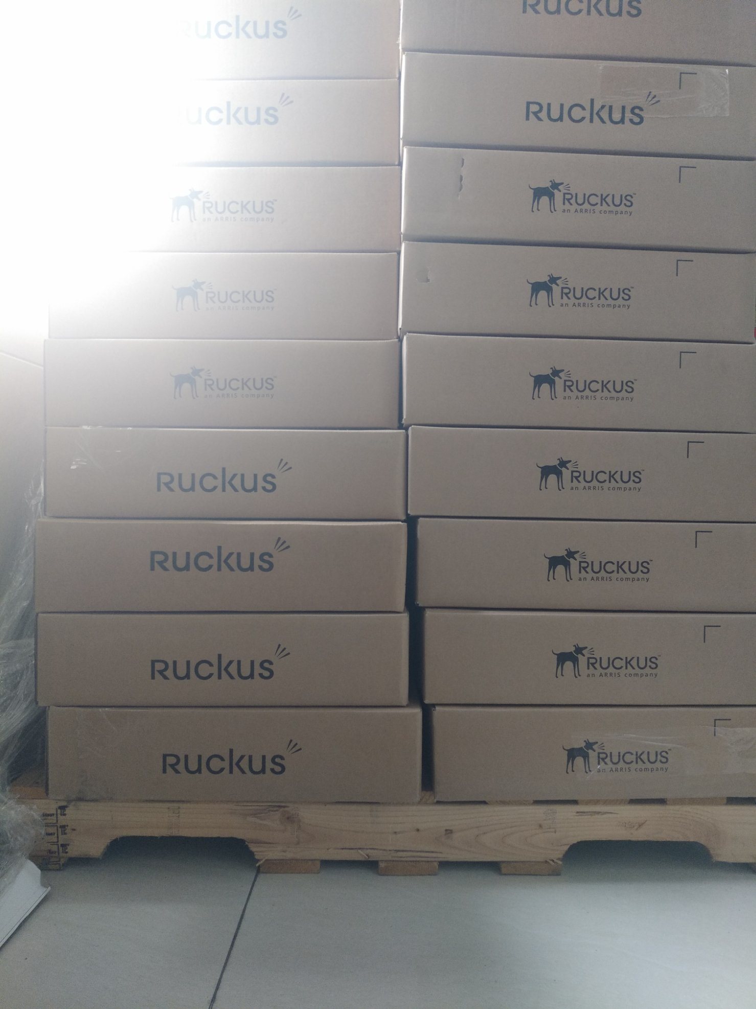 Ruckus ICX Switches ICX 7150 24-Port Compact Switch with 1 GBE Uplinks ICX7150-24-4X1G